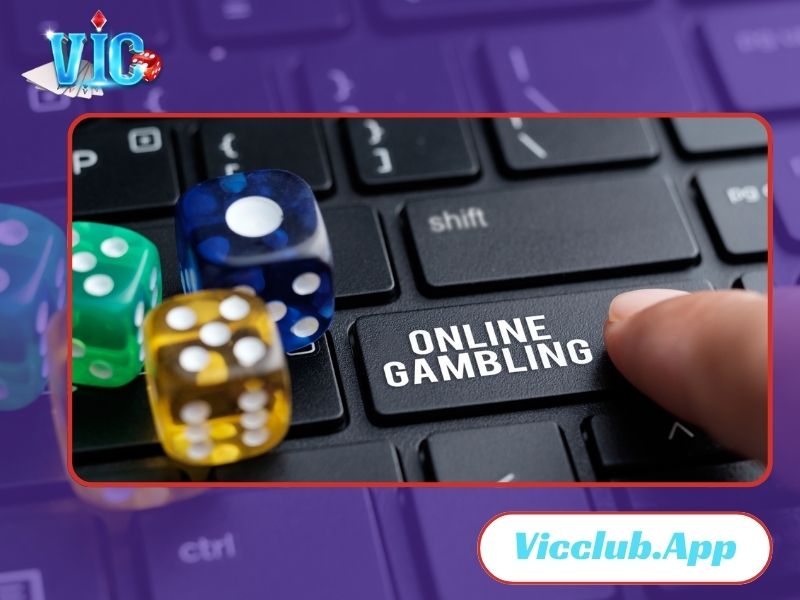 Vic Club là địa chỉ cá cược an toàn và uy tín