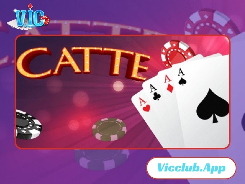 Cách chơi bài Catte không quá khó